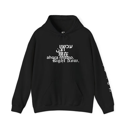 Choosing Alignment Hoodie