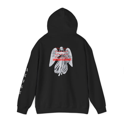 Choosing Alignment Hoodie
