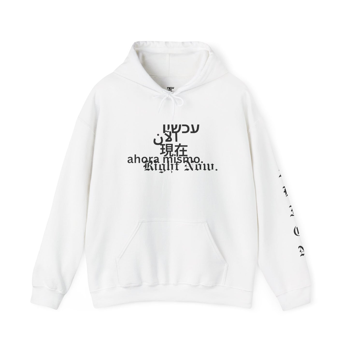 Choosing Alignment Hoodie