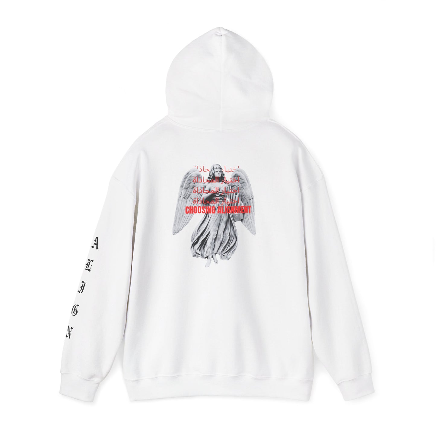 Choosing Alignment Hoodie